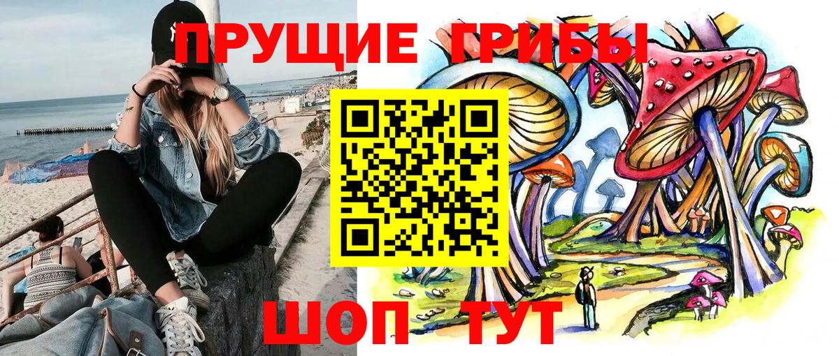 Псилоцибиновые грибы мухоморы Домодедово